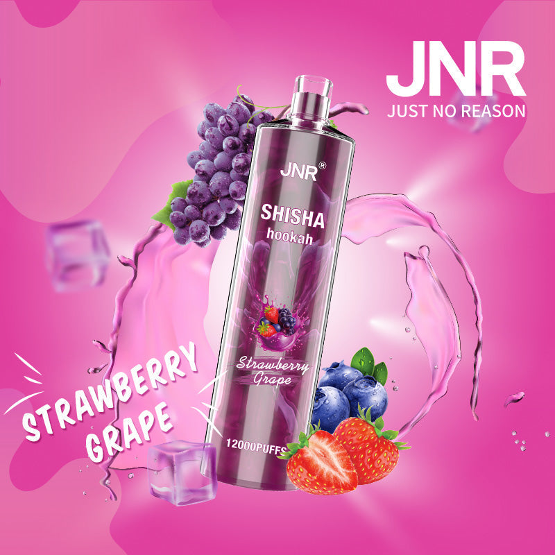 JNR Shisha Hookah 12000-750mAh Battery, 24ml E-liquid, Multiple Nicotine 17 Flavors