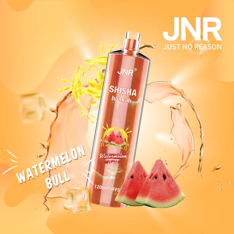 JNR Shisha Hookah 12000-750mAh Battery, 24ml E-liquid, Multiple Nicotine 17 Flavors
