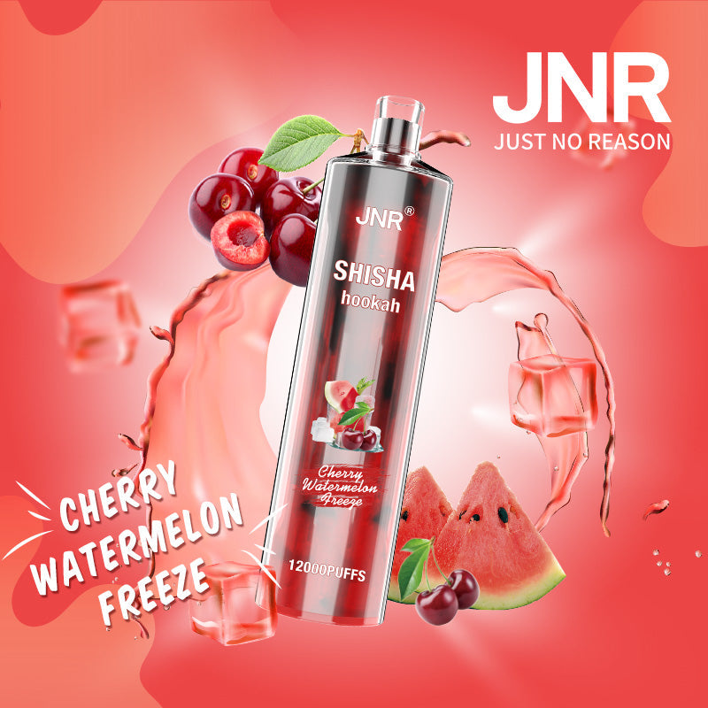 JNR Shisha Hookah 12000-750mAh Battery, 24ml E-liquid, Multiple Nicotine 17 Flavors