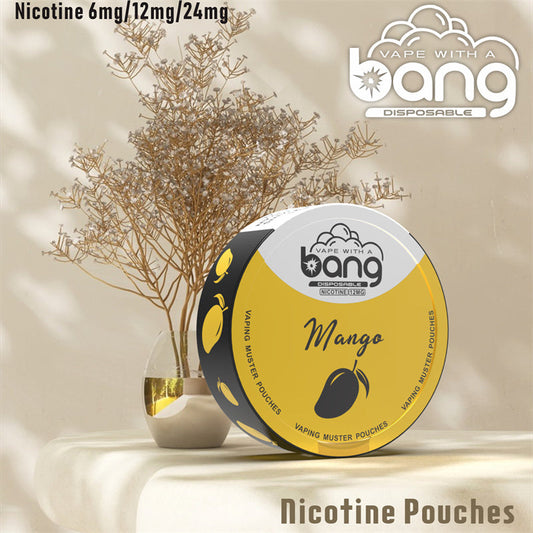 Bang Vaping Muster Pouches – Nicotine 6mg/12mg/18mg, 12 Flavors, Factory Sale