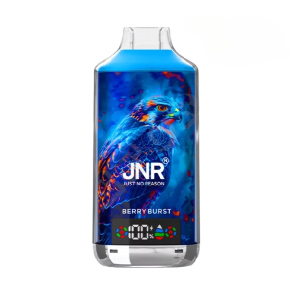 JNR FALCON X 18000 18k Puffs LED Display Hot Sale Disposable Vap-950mAh Battery, 24ml E-liquid, Multiple Nicotine 29 Flavors