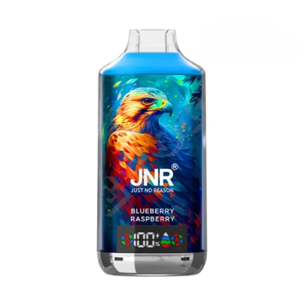 JNR Falcon X 18000 Puffs Disposable Vape-950mAh Battery, Multiple Nicotine 11 Flavors