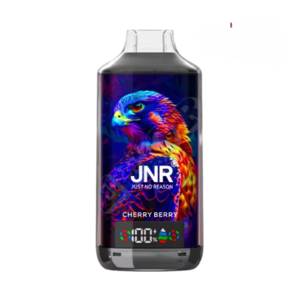 JNR FALCON X 18000 18k Puffs LED Display Hot Sale Disposable Vap-950mAh Battery, 24ml E-liquid, Multiple Nicotine 29 Flavors