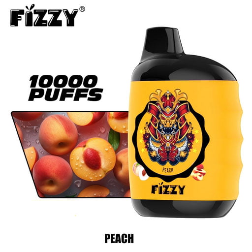FIZZY Great 10000 Puffs 2% 5% Low Nicotine Bulk Buy Rechargeable Disposable Vapes Pen Wholesale