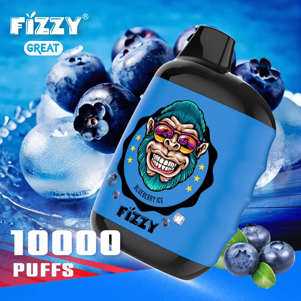 FIZZY Great 10000 PUFF Disposable Vape In Sales