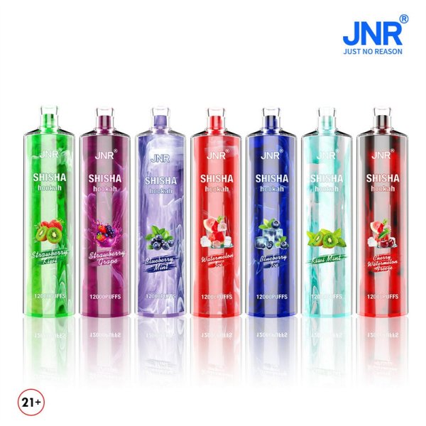Jnr Shisha 12000 Puff Direct-To-Lung E Disposable Vape-750mAh Battery, 24ml E-liquid, Multiple Nicotine 22 Flavors