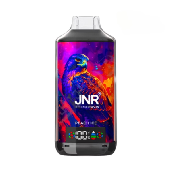 JNR FALCON X 18000 18k Puffs LED Display Hot Sale Disposable Vap-950mAh Battery, 24ml E-liquid, Multiple Nicotine 29 Flavors