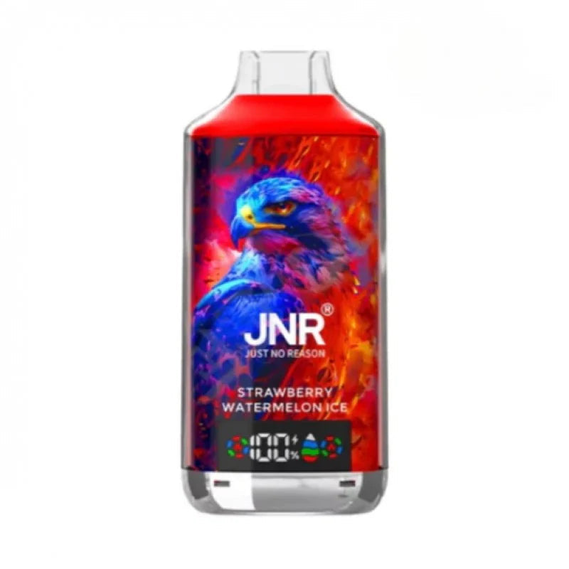 JNR Falcon 16000 Puffs Disposable Vape-850mAh Battery, 22ml E-liquid, Multiple Nicotine 28 Flavors