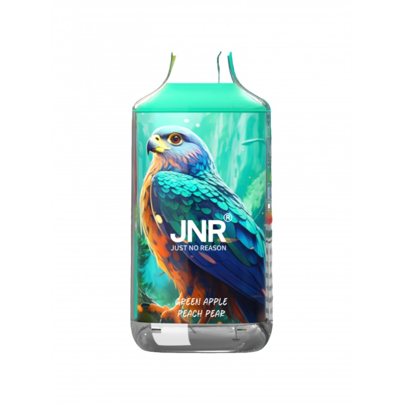 JNR Falcon 16000 Puffs Disposable Vape-850mAh Battery, 22ml E-liquid, Multiple Nicotine 28 Flavors