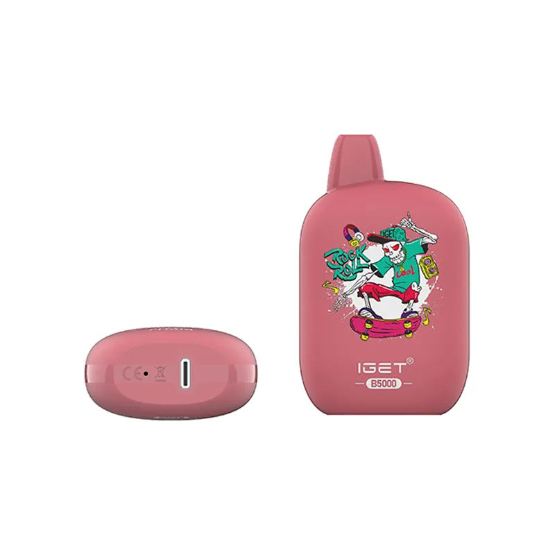 IGET B5000 Disposable Vape - 5000 Puffs, 10ml, 40mg Nicotine, Rechargeable
