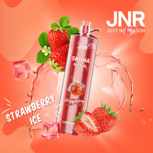 JNR Shisha Hookah 12000-750mAh Battery, 24ml E-liquid, Multiple Nicotine 17 Flavors