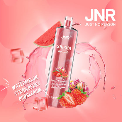 JNR Shisha Hookah 12000-750mAh Battery, 24ml E-liquid, Multiple Nicotine 17 Flavors