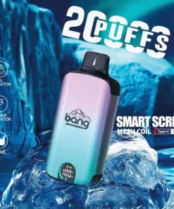 Bang 20000 Puffs Vape 20K Disposable Vape Pen E Cigarette Prefilled025ml 650mAh Disposable Vape 12 Flavors