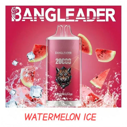 BANGLEADER 20000 PUFFS Crystal Vape Discount Sale Bulk Price