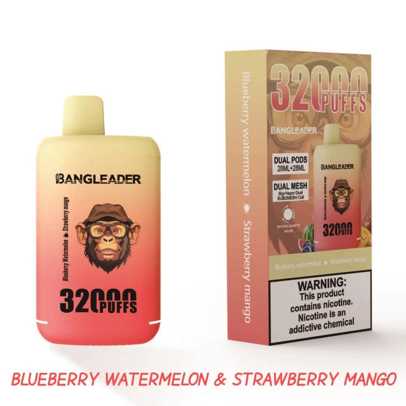 BANGLEADER 32000 PUFFS DUAL FLAVORS Vape Good Sale Discount Price