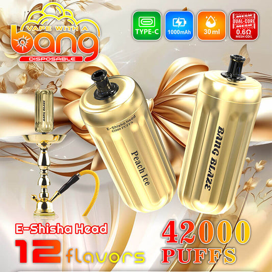 Bang Blaze E-Shisha Head 42000 Puffs(0% to 5% Nicotine) - 30ml E-Liquid, 1000mAh Battery 12 Flavors