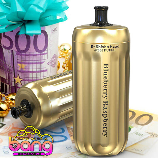 Bang Blaze E-Shisha Head 42000 Puffs(0% to 5% Nicotine) - 30ml E-Liquid, 1000mAh Battery 12 Flavors