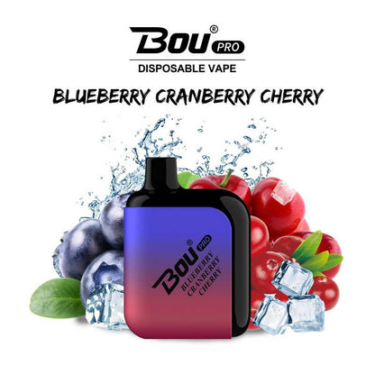 Bou Pro 7000 Kit Rechargeable