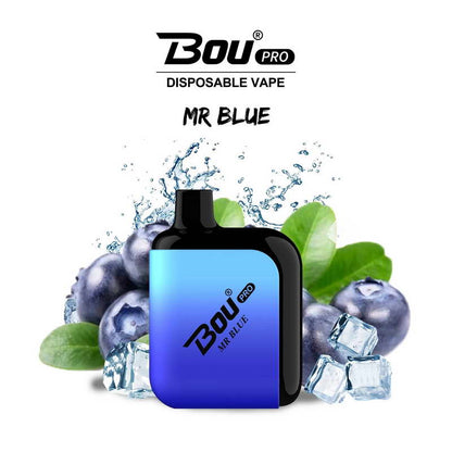 Bou Pro 7000 Kit Rechargeable