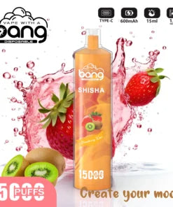 Bang 15000 Puffs Vape 15K Disposable Vape Pen E Cigarette Prefilled 15ml  600mAh Disposable Vape 20 Flavors