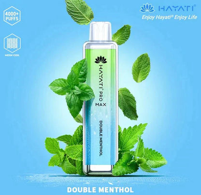 Hayati Pro Max 4000 Puffs  Box Of 10