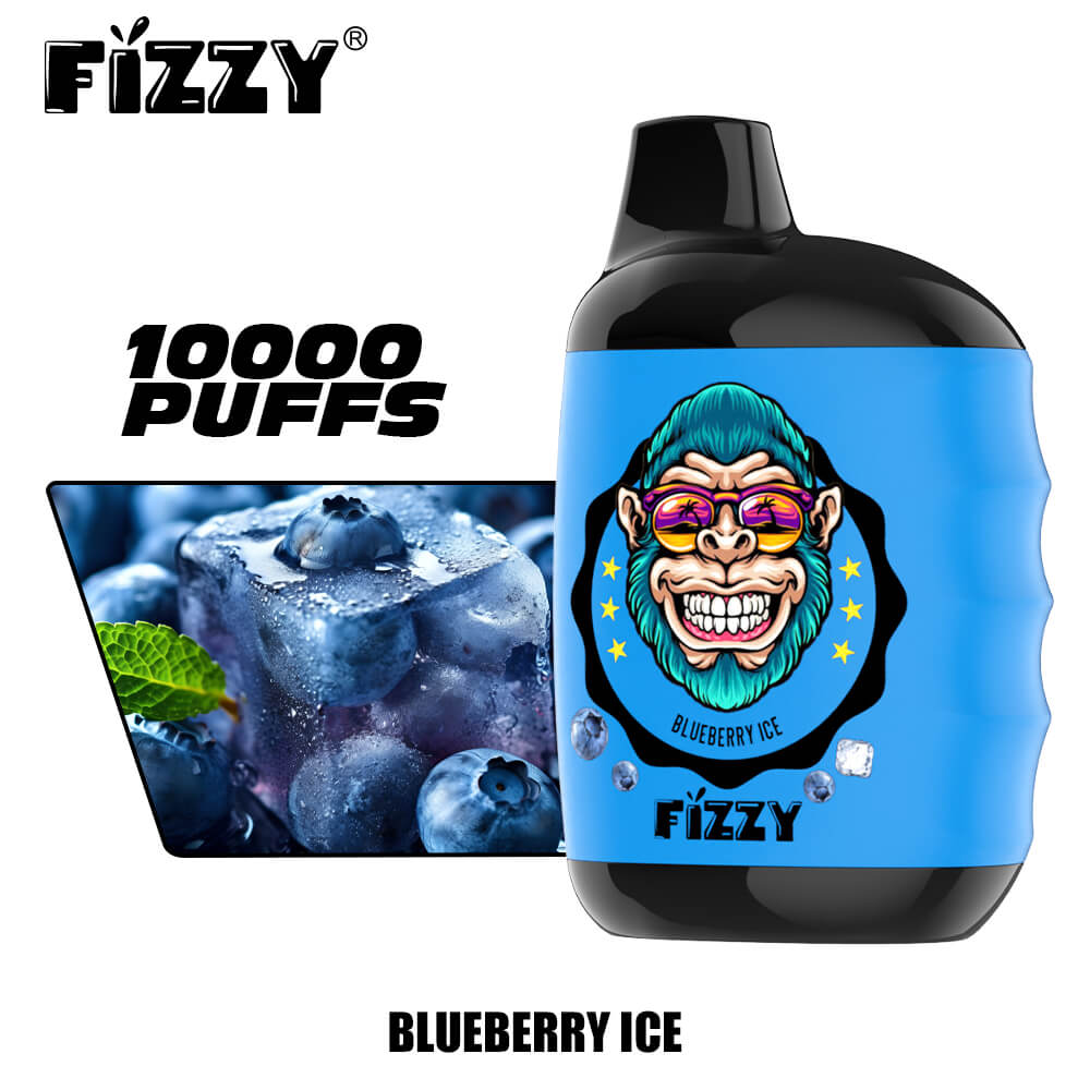 FIZZY Great 10000 PUFF Disposable Vape In Sales