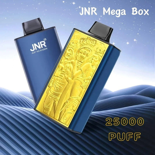 JNR Mega Box 25000 Puffs Good Price Hot Sale-850mAh Battery, 30ml E-liquid, Multiple Nicotine 20 Flavors