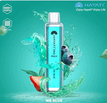 Hayati Pro Max 4000 Puffs