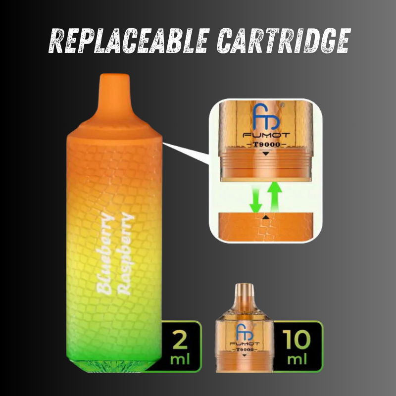 Kiwi Passion Fruit Guava Randm T9000 Puffs Box Of 10