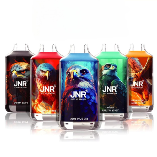 JNR FALCON X 18000 18k Puffs LED Display Hot Sale Disposable Vap-950mAh Battery, 24ml E-liquid, Multiple Nicotine 29 Flavors