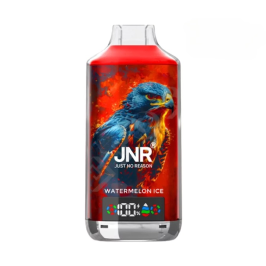 JNR FALCON X 18000 18k Puffs LED Display Hot Sale Disposable Vap-950mAh Battery, 24ml E-liquid, Multiple Nicotine 29 Flavors