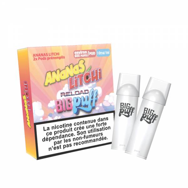 BIG PUFF Reload - Pack de 2 Cartouches 2 ml 600 Puffs