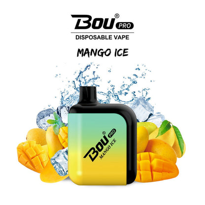 Bou Pro 7000 Kit Rechargeable