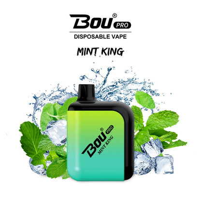 Bou Pro 7000 Kit Rechargeable