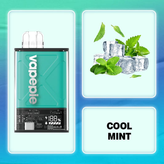 Cool Mint & VAPEPIE Ultra 12000 PUFFS (🔥Most people choose)