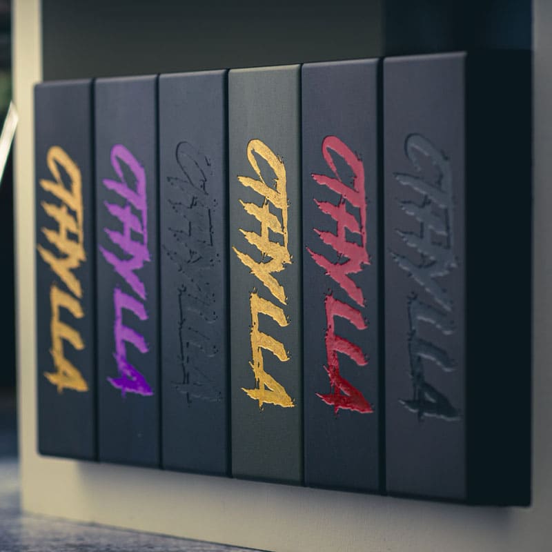 DEATHWISH MODZ Cthylla - Box Mécanique Premium 21700