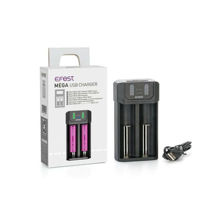 EFEST Mega USB - Chargeur Accus 2 Slots