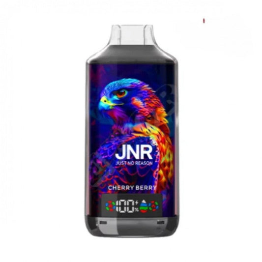 JNR Falcon X 18000 Puffs Disposable Vape