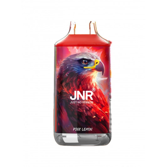 JNR Falcon 16000 Puffs Disposable Vape-850mAh Battery, 22ml E-liquid, Multiple Nicotine 28 Flavors