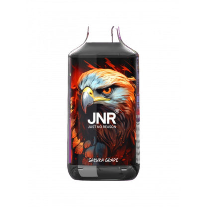 JNR Falcon 16000 Puffs Disposable Vape-850mAh Battery, 22ml E-liquid, Multiple Nicotine 28 Flavors