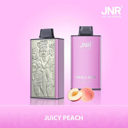 JNR Mega Box 25000 Puffs Disposable Vape-850mAh Battery, 30ml E-liquid, Multiple Nicotine 20 Flavors