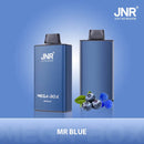 JNR Mega Box 25000 Puffs Disposable Vape-850mAh Battery, 30ml E-liquid, Multiple Nicotine 20 Flavors