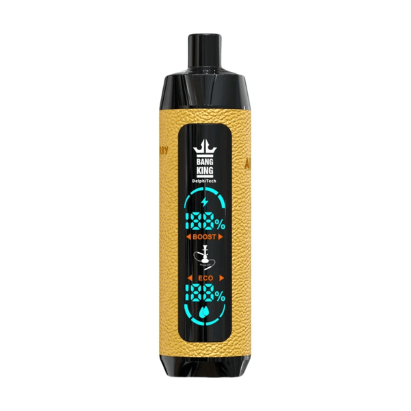 JNR Shisha 12000 Puffs Disposable Vape-750mAh Battery, 24ml E-liquid, Multiple Nicotine 12 Flavors