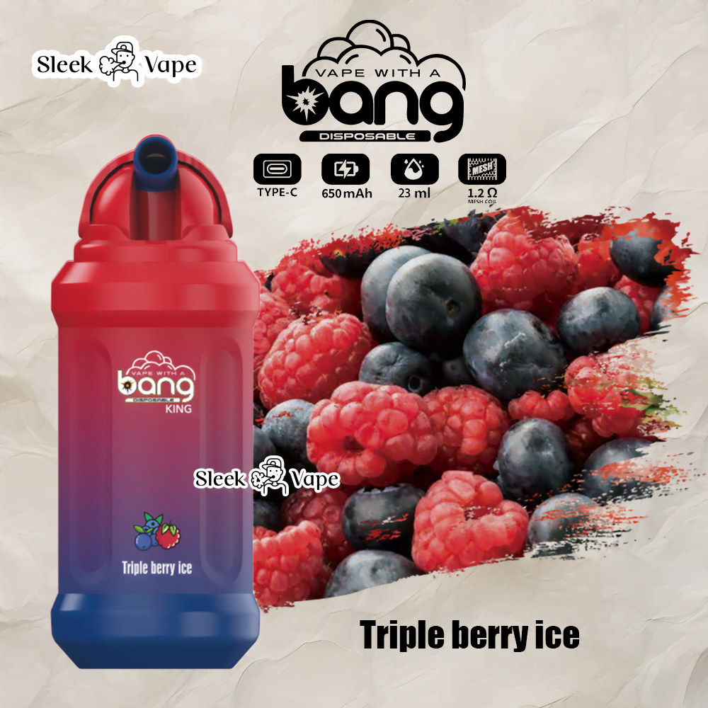 Bang King 12000 Puffs 0% 2% 3% 5% Nicotine Rechargeable Disposable Pod