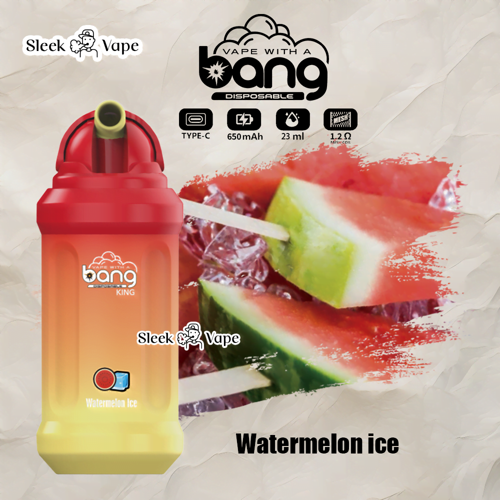 Bang King 12000 Puffs 0% 2% 3% 5% Nicotine Rechargeable Disposable Pod