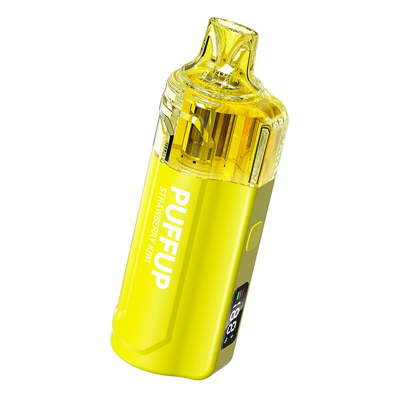 Puffup 25000 Puffs Disposable Vape 15ml 5%